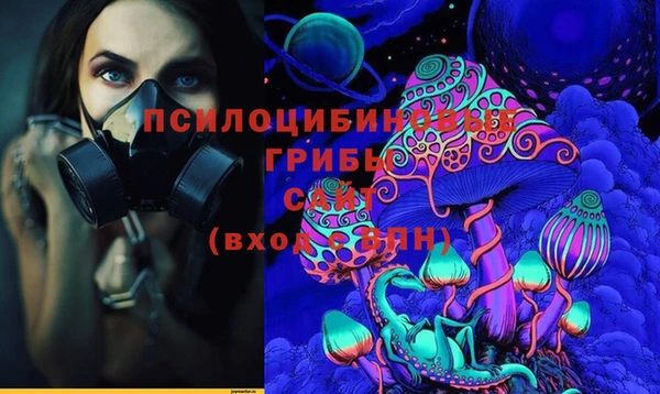 PSILOCYBIN Алексин